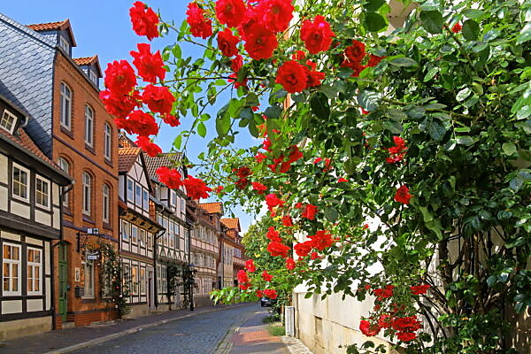 Bildagentur Mauritius Images Bornholm Svaneke Typical House