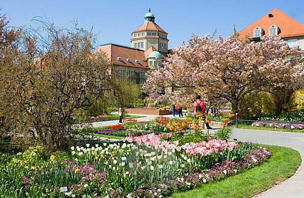 Bildagentur Mauritius Images Botanischer Garten Munchen