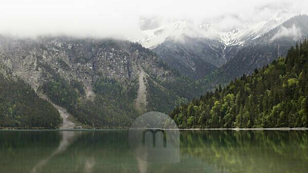 Bildagentur Mauritius Images Misty Mood At The Plansee Near